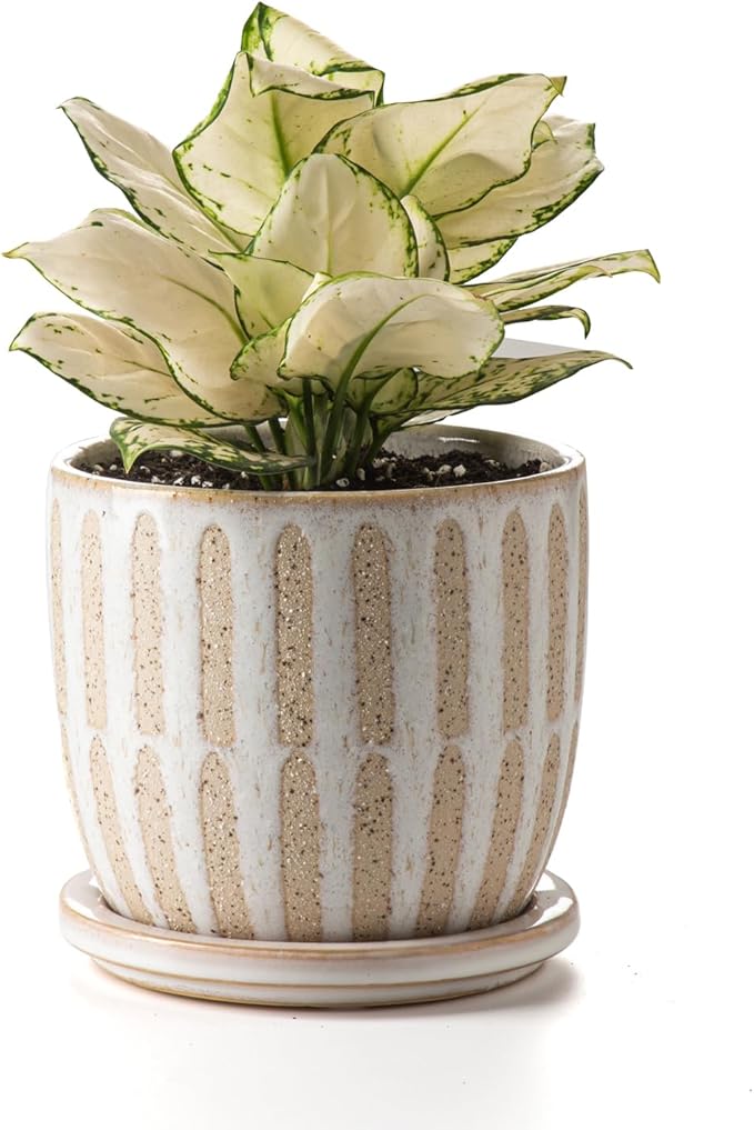 Ceramic Flower Pots Indoor-Outdoor: 5.75 Inch Planters with Drainage Holes & Saucer - Modern Decorative Plant Pots Ceramic for Home Gardeners (Striped)