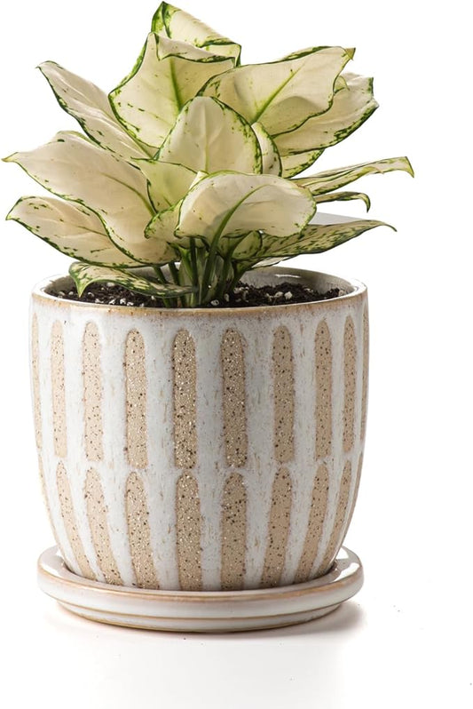 Ceramic Flower Pots Indoor-Outdoor: 5.75 Inch Planters with Drainage Holes & Saucer - Modern Decorative Plant Pots Ceramic for Home Gardeners (Striped)