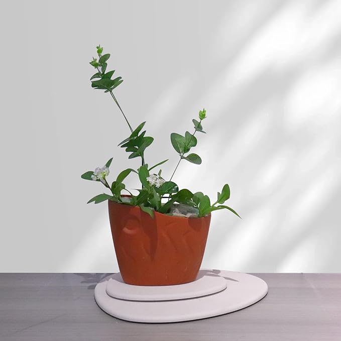 Elfcool Plant Saucer Quick Dry Absorbent Flower Plant Pot Saucer Dirp Tray Diatomaceous Earth Plant Mat for Indoor Outdoor Plants (8''-Off White-4pack)