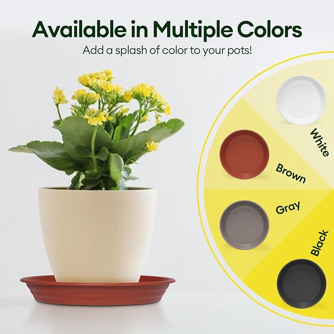6 Pack Plant Saucer, 8 10 12 inch Plant Saucers for Indoor, Heavy Duty Plastic Plant Trays for pots, Grow Bags, Bird Baths, Flower Drip Trays for Indoor and Outdoor Uses (8", Brown)