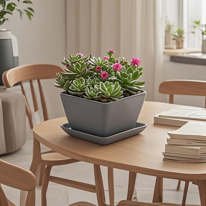 Square Plant Saucer 6 Inch 2 Pack，Plant Trays for Pots, Gray Ceramic Plant Saucers for Indoors Outdoors, Plant Drip Tray 4 6 8 10 12 14 Inch