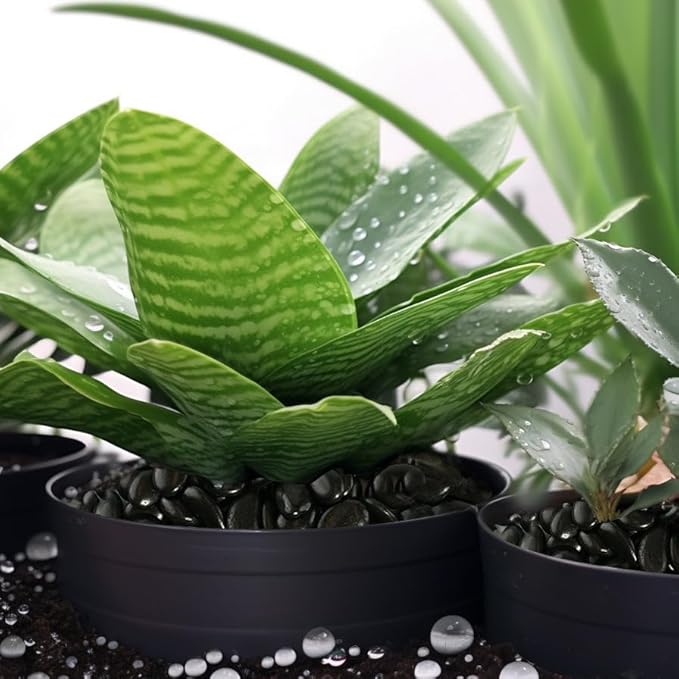 2 LBS River Rocks, StoneCreek, Decorative Garden Stones for Plant Landscaping, Polished Gravel Filler Pebbles for Home Decoration, Vases, Succulents, Flower Beds and Fish Tanks (Black, Medium)