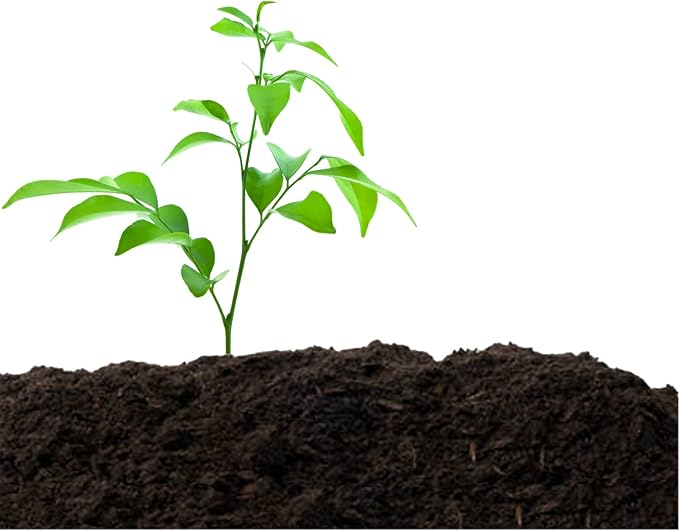 Organic Compost - Plant Based Potting Soil - Home, Garden Fertilizer - Complete Food - Boosts Plant Growth - Use for Indoor and Outdoor Farming ~25 lbs (24 Quarts)