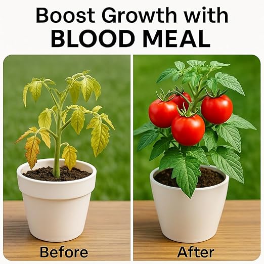 𝐁𝐄𝐒𝐓𝐒𝐄𝐋𝐋𝐄𝐑 Organic Blood Meal Fertilizer by Gardenera - 12-0-0 NPK - All-Natural Plant Food Source of Nitrogen for Organic Gardening, Flowers, Vegetables, Trees & Shrubs - 5 QUARTS