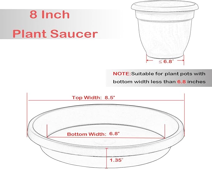 Plant Saucer 8inch 2 Pack