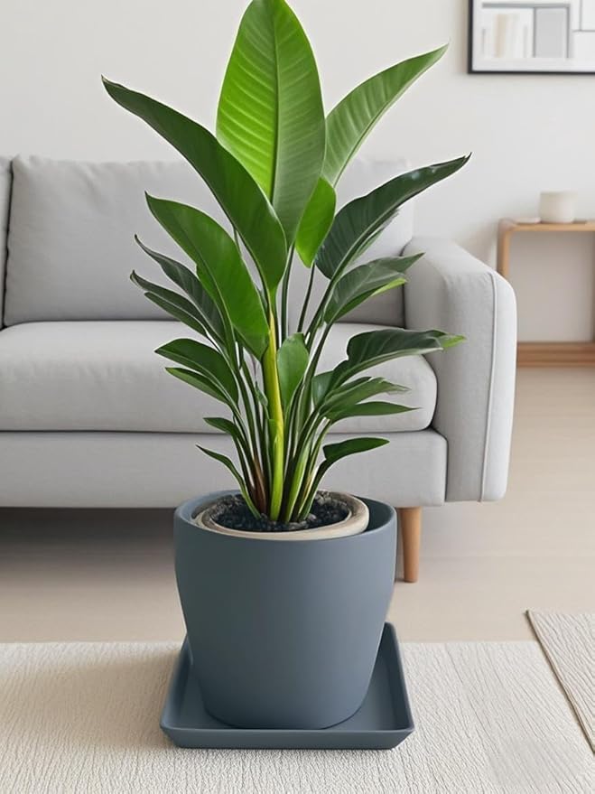 Square Plant Saucer 10 Inch 1 Pack，Plant Trays for Pots, Gray Ceramic Plant Saucers for Indoors Outdoors, Plant Drip Tray 4 6 8 10 12 14 Inch