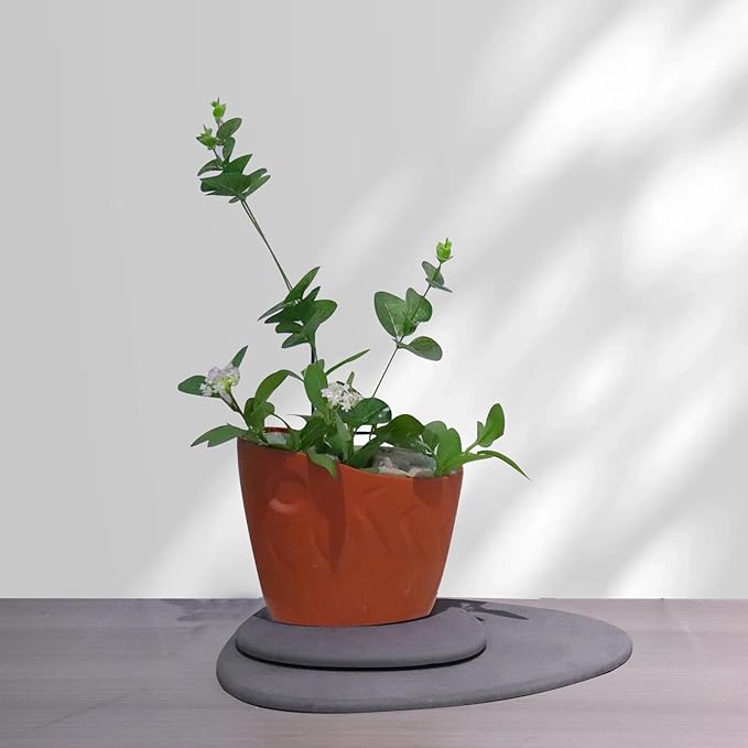 Elfcool Plant Saucer Quick Dry Absorbent Flower Plant Pot Saucer Dirp Tray Diatomaceous Earth Plant Mat for Indoor Outdoor Plants (8''-Dark Grey-4pack)