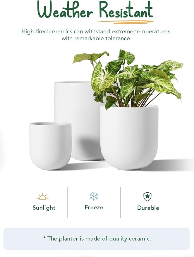 LE TAUCI 6+8+10 Inch Ceramic Pots for Plants, Plant Pots Indoor with Drainage Hole and Plug, Planter Pots for Home Office Room Patio, Set of 3, White