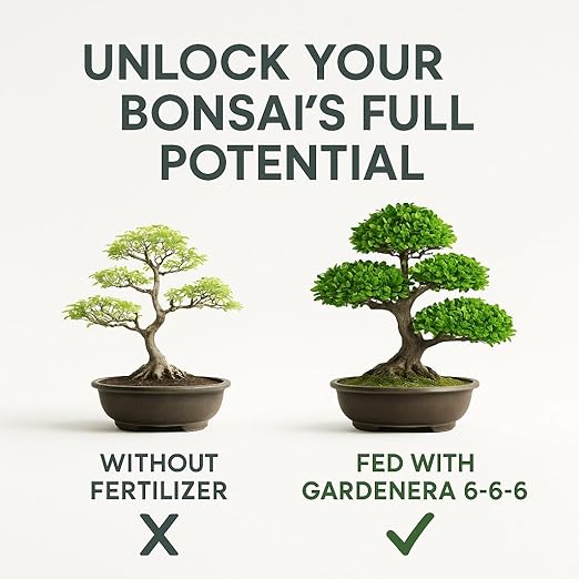 𝐁𝐄𝐒𝐓𝐒𝐄𝐋𝐋𝐄𝐑 Bonsai Fertilizer Pellets – Slow-Release Bonsai Tree Fertilizer & Food for Compact Growth, Dense Branching & Healthy Roots | Ideal for All Bonsai & Money Trees - 10 QUARTS