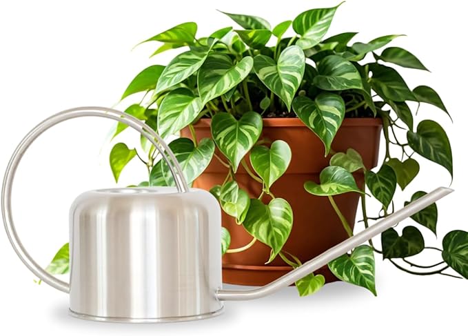 Stainless Steel Watering Can for Houseplants by Houseplant Resource Center | 1L Capacity for Indoor/Outdoor Plants in Brushed Silver