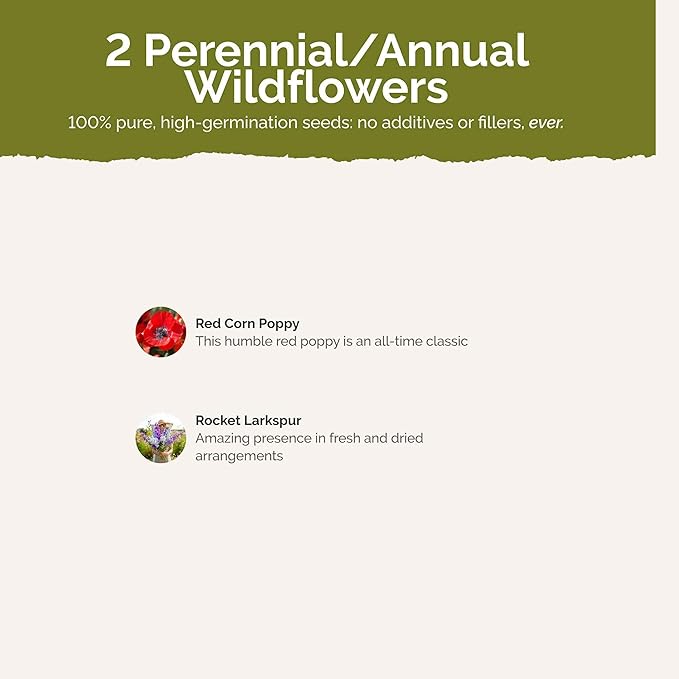 Eden Brothers Power Couple Flower Mixed Seeds for Planting, 1/4 lb, 120,000+ Seeds with Rocket Larkspur, Bupleurum | Attracts Pollinators, Plant in Spring or Fall, Zones 3, 4, 5, 6, 7, 8, 9, 10