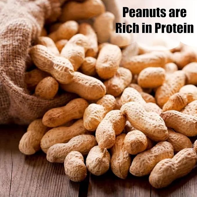 Old Potters Wildlife in-Shell Peanuts, 25 lbs for Birds, Squirrels, and Wildlife. USA Grown Non-GMO, Organic Small Farm, Raw in-Shell Peanuts. Wildlife Grade, 25 lbs.