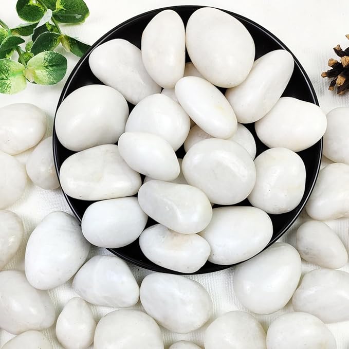10lbs White River Rocks, 1-2 Inch Natural Pebbles for Indoor Plants, High Polished Decorative Stones Vase Filler Fish Tank Aquariums Landscaping Garden Outdoor and Indoor DIY