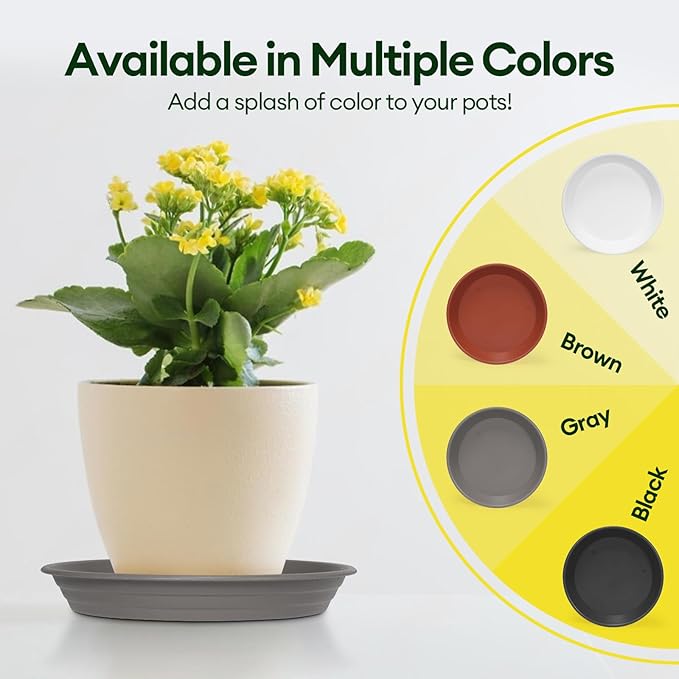 6 Pack Plant Saucer, 8 10 12 inch Plant Saucers for Indoor, Heavy Duty Plastic Plant Trays for pots, Grow Bags, Bird Baths, Flower Drip Trays for Indoor and Outdoor Uses (10", Gray)