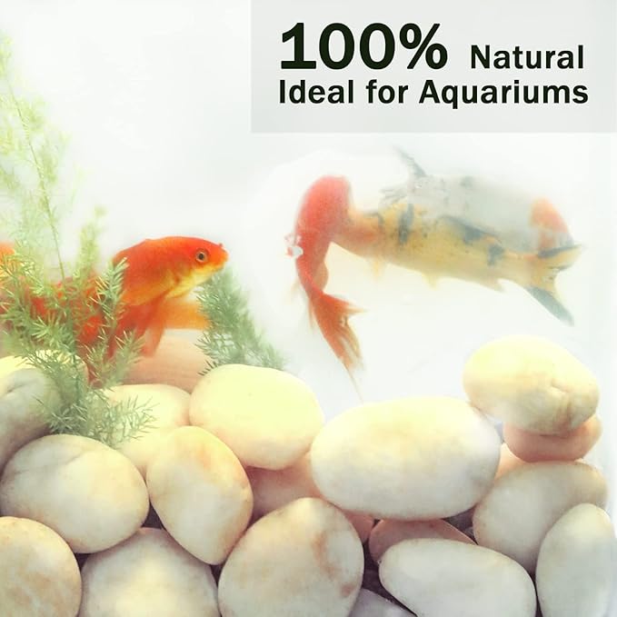 20LB Smooth Pebbles River Rocks, 100% Natural Hand-Picked Premium Decorative Pebbles, Ideal for Garden Landscaping, Home Decor, Aquariums, Painting, Crafting and Gifts, Cream White