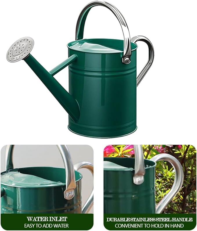 Metal Watering Can for Outdoor and Indoor Plants, Watering Can Decor, 1 Gallon (Green Stainless Steel Handle)
