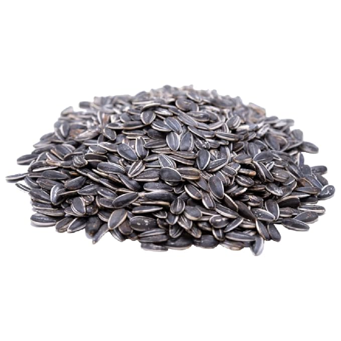 Gerbs Raw Whole Sunflower Seeds 2 lbs. | In-Shell, No Additives, Resealable Bag | Crack-and-Eat Crunchy Snack | Top 14 Allergen-Free
