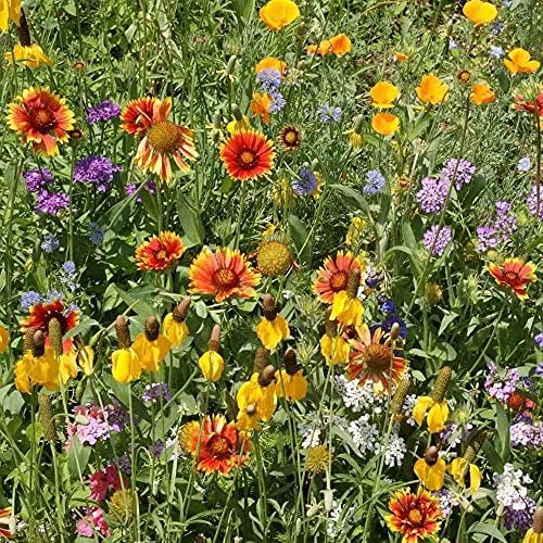 Outsidepride Southwest Wild Flower Seed Mix - 5 lbs. Heat & Drought Tolerant Premium Blend of Annual & Perennial Wildflower Seeds for Planting on Outdoor Lawns & Gardens from Spring to Fall
