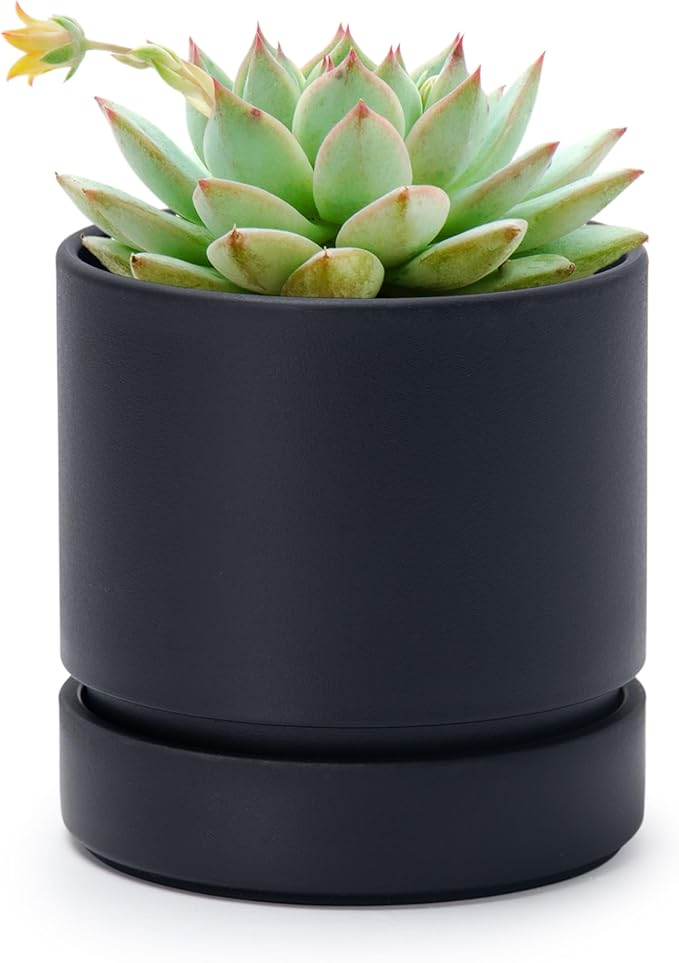 Phoenix Vine 4 Inch Planter Pot with Drainage Hole & Saucer, Deep Water Catch Tray, Straight Cylindrical Round Pot for Plants, Matte Black, Pack of 1, 23-C-R-1