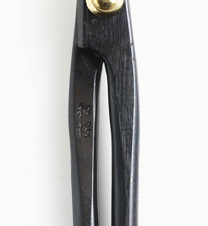 Hanafubuki Wazakura Twig Bonsai Scissors Made in Japan 7inch(180mm), Japanese Bonsai Garden Tools, Hasami Pruning Shears - Black