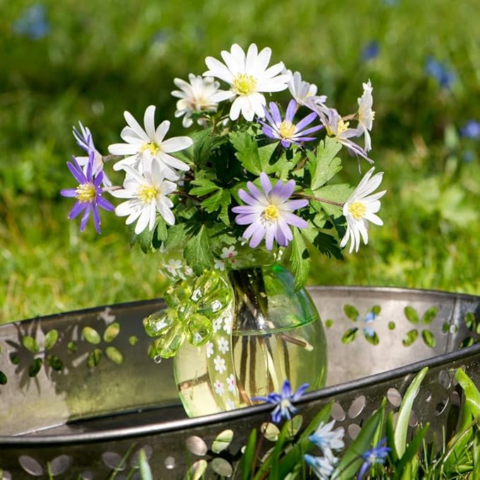 Amazing Deal! Anemone Blanda “Fireworks” – Colorful Perennial Flower Bulbs | Shade-Loving Windflowers in Purple, White, Pink & Blue | Attracts Butterflies & Bees | Zones 3–8 - (30 Bulbs)