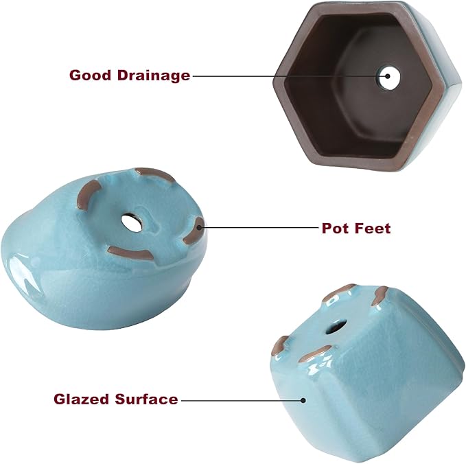 Bonsai Planter Mini Glazed Pots Succulent Value Set of 4, with 4 Soft Mesh Drainage Screens