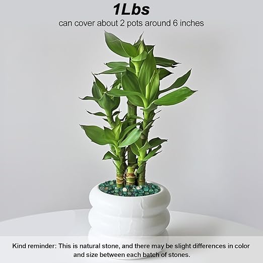 Rocks for Plants Indoor,Landscaping Pebbles, River Rocks Decorative Ornamental Pebbles Garden Landscaping Stones, DIY Smoothed Rocks for Potted Plant Resin Art Vase Fillers Aquarium Gravel Rocks