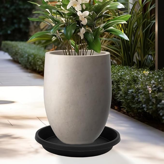 5 Pack Plant Saucer 8 Inch, Flower Pot Saucers Plant Trays for Pots, Plant Plates to Catch Water Indoor Plants, Plastic Planter Tray for Indoors, Planting Trays