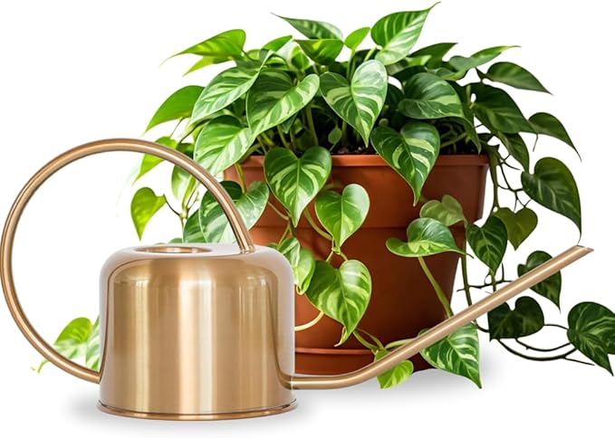 Stainless Steel Watering Can for Houseplants by Houseplant Resource Center | 1L Capacity for Indoor/Outdoor Plants in Brushed Gold