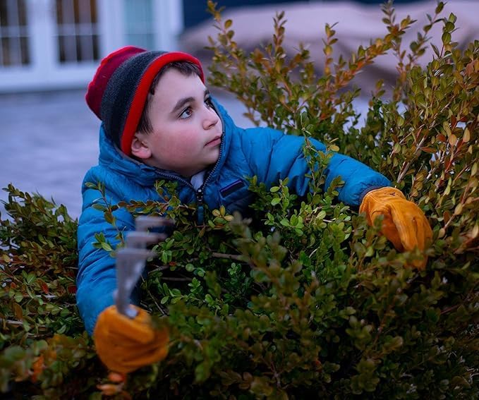 G & F Products JustForKids Kids Work and Gardening Gloves with Rubberized Safety Cuff, Children and Youth age 6 Years Old, Premium Leather and Cotton, 3 Pairs