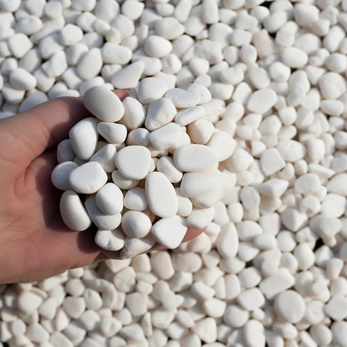 Stonecreek 24 LBS River Rocks (2 x 12 LBS Bags) – Natural Polished Decorative Pebbles, Garden Landscaping Stones for Planters, Vase Fillers, Succulent Pots, Fish Tanks & Terrariums, White Medium