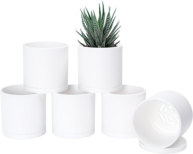 D'vine Dev 6 Pack 4.5 Inch Modern Plastic Plant Pots, Small Garden Planters for Plant with Drainage Holes and Saucers, White Color, 74-Z-F-3