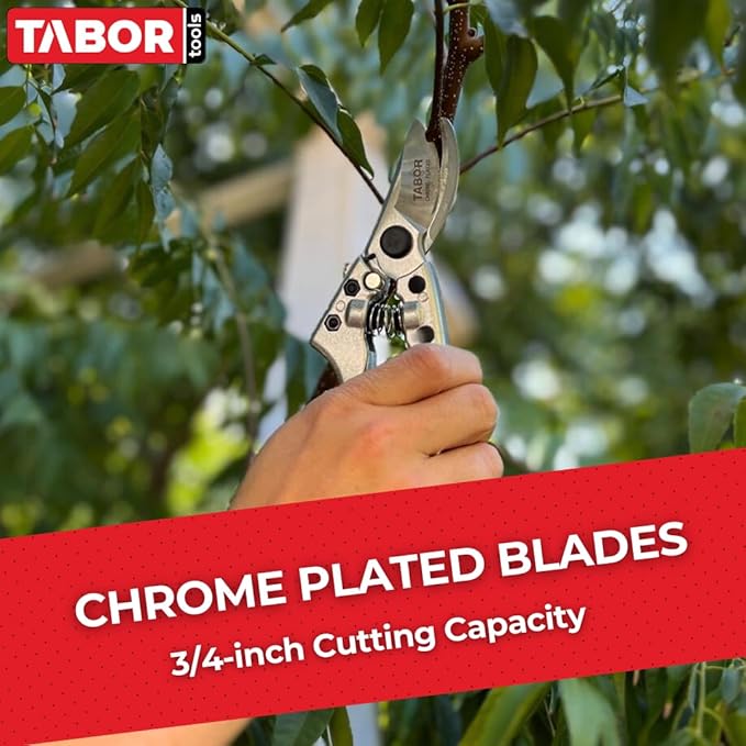 TABOR TOOLS S834A Bypass Pruning Shears, Makes Clean Cuts, Professional Sharp Secateurs, Great for M-L Size Hands, Hand Pruner, Garden Shears, Clippers for The Garden