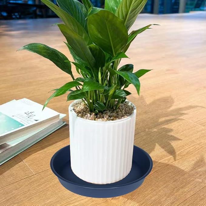 2 Pack of 14 inch Plant Saucers Bird Bath Bow Round, Plastic Plant Saucer Tray for Pots, White Planters for Indoor Plants, Plant Trays for Planter 12-15" (14", Blue)