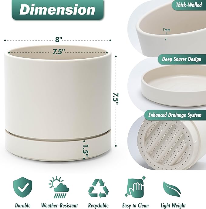 Phoenix Vine 8 Inch Planter Pot with Drainage Hole & Saucer, Deep Water Catch Tray, Straight Cylindrical Round Pot for Plants, Oatmeal, Pack of 1, 23-E-T-1