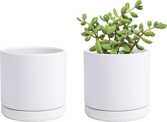D'vine Dev Set of 2 Plants Pot, 4.6 Inch Ceramic Planter Pot for Plants with Drainage Hole and Saucer, White, 94-V-B-1
