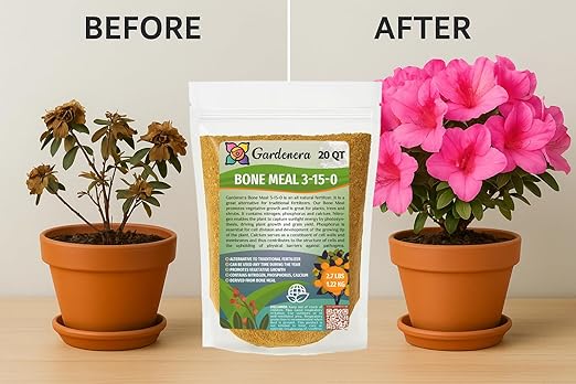 𝐁𝐄𝐒𝐓𝐒𝐄𝐋𝐋𝐄𝐑 Organic Bone Meal Fertilizer by Gardenera (4-12-0 NPK) All-Natural Plant Food Source of Nitrogen and Phosphorus for Bulbs, Gardens, Potted Plants, Trees, and Shrubs - 3 QUARTS