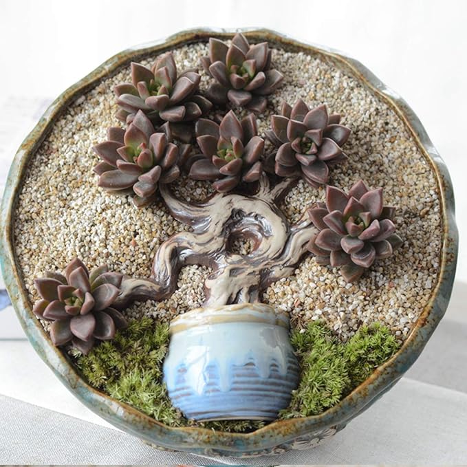 TOYPOPOR 6lb Succulent and Cactus Bonsai Gritty Mix Rocks, Natural Coarse Sand Stone, Potted Plant Decorative Gravel, DIY Projects Pebbles for Vases Fillers, Terrarium, Fairy Gardening, Top Dressing