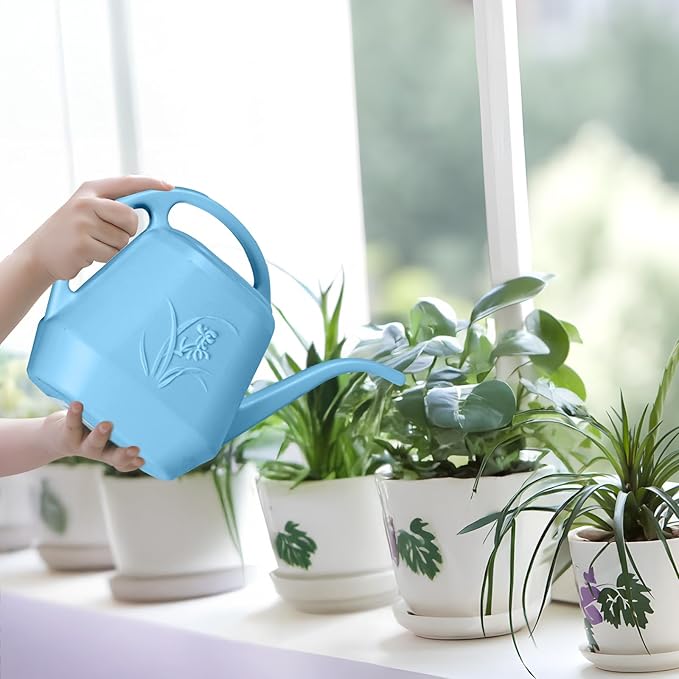Plastic Watering Can - SkyBlue Color - 1 Gallon