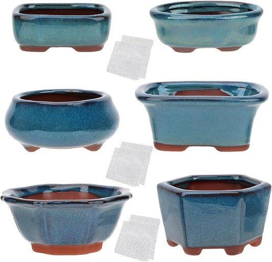 Bonsai Planter 6 pc Mini Glazed Succulent Pots Value Set + 6 Soft Mesh Drainage Screens