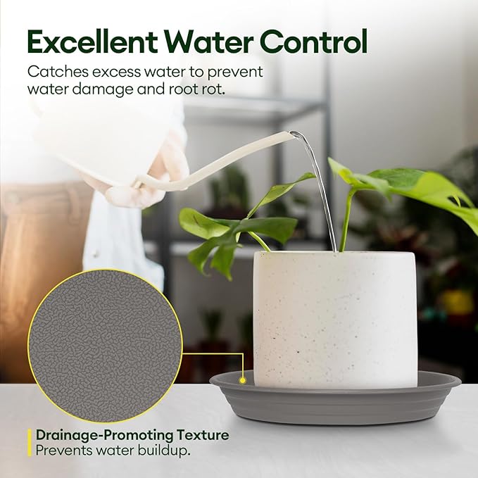 6 Pack Plant Saucer, 8 10 12 inch Plant Saucers for Indoor, Heavy Duty Plastic Plant Trays for pots, Grow Bags, Bird Baths, Flower Drip Trays for Indoor and Outdoor Uses (10", Gray)