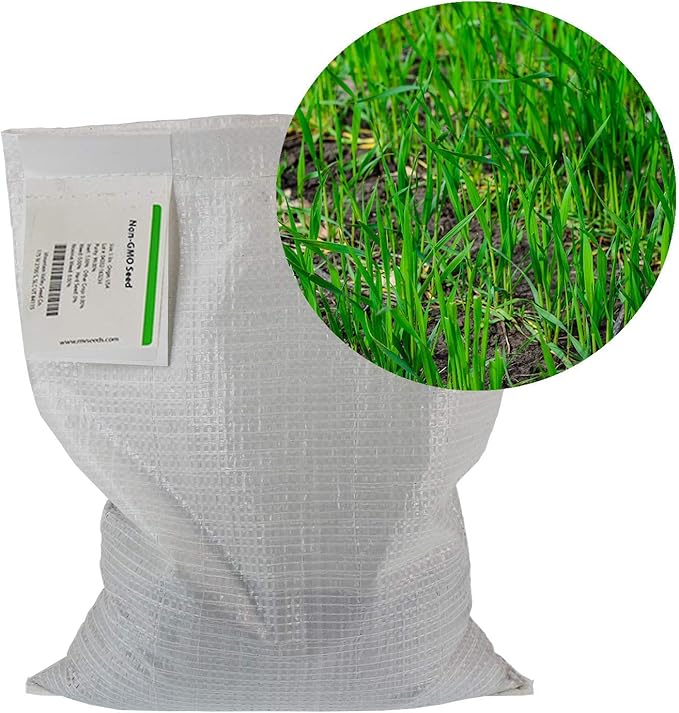 No-Till Winter Rye Seeds - 5 Lbs - Non-GMO Rye Grain Cover Crop Seeds by Mountain Valley Seed Company.