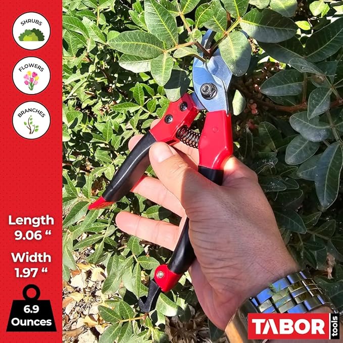TABOR TOOLS S821A Bypass Pruning Shears, Makes Clean Cuts, Great for S-M Size Hands. Professional Sharp Secateurs, Hand Pruner, Garden Shears, Clippers for The Garden.