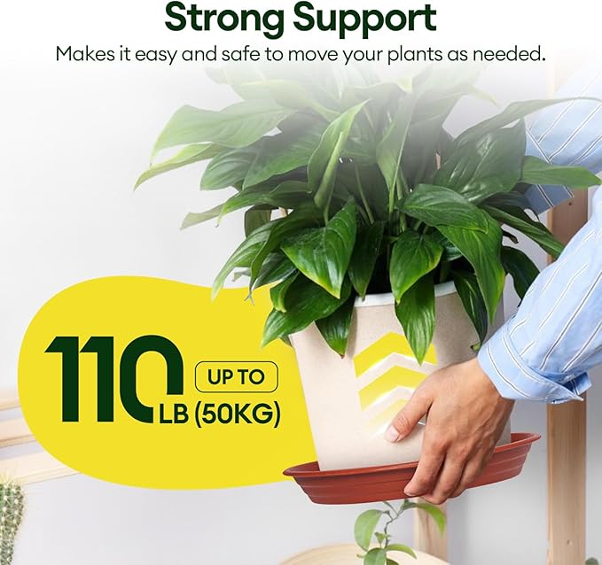 6 Pack Plant Saucer, 8 10 12 inch Plant Saucers for Indoor, Heavy Duty Plastic Plant Trays for pots, Grow Bags, Bird Baths, Flower Drip Trays for Indoor and Outdoor Uses (10", Brown)