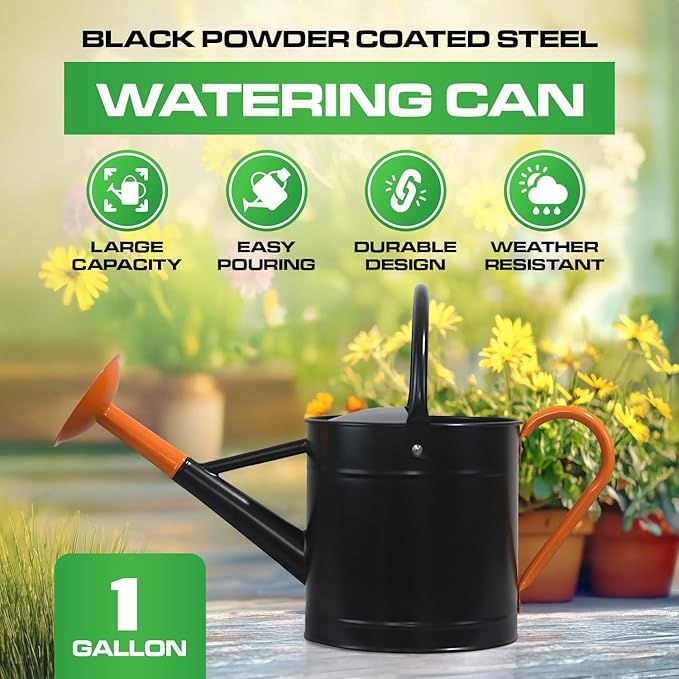 Plexon 1 Gallon Metal Watering Can Outdoor, Flower Plant Gardening Garden Large Watering Can Pot Pitcher, Steel Orange Handles and Removable Spray Spout, Black