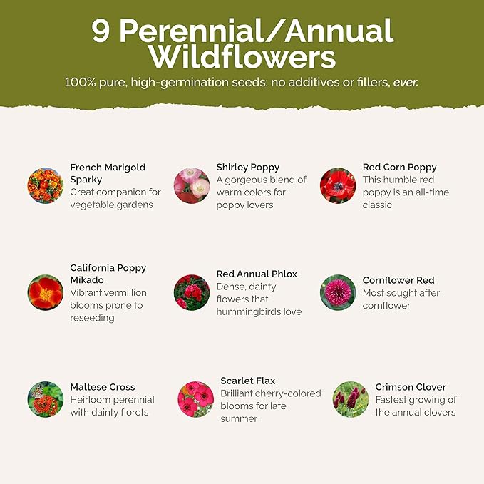 Eden Brothers Red Head Wildflower Mixed Seeds for Planting, 5 lb, 2,400,000+ Seeds with Maltese Cross, Scarlet Flax | Attracts Pollinators, Plant in Spring or Fall, Zones 3, 4, 5, 6, 7, 8, 9, 10