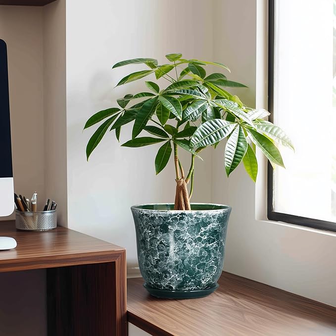 8 Inch Plant Pot - Ceramic Planter with Drainage Hole and Saucer, Round Planter for Indoor Outdoor, Modern Planters, Decorative Flower Pots, Office Room Home Decor, Plant Lover Gifts, Green