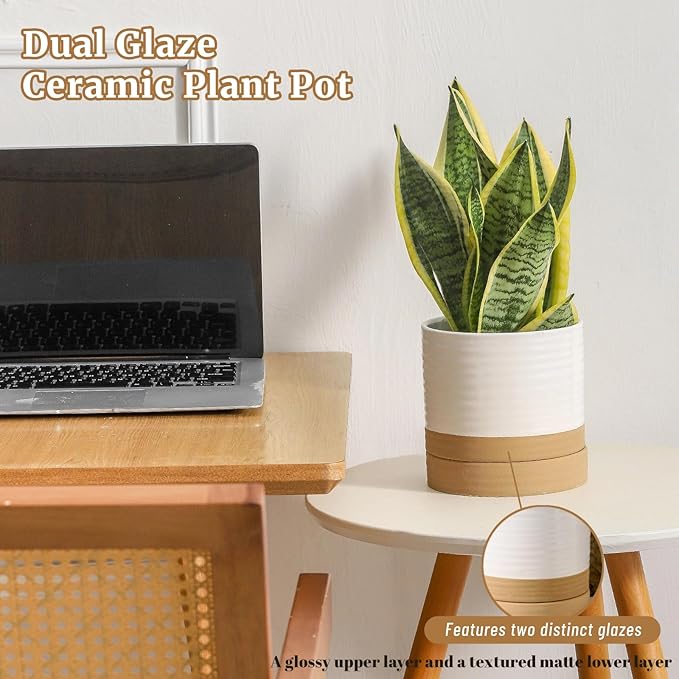 Hasense Ceramic Plant Pots, 6 Inch Planters for Indoor Plants with Drainage Holes and Saucers, White Flower Pots for Succulent, Snake Plants, Cactus, Modern Decor Gift for Mom, 1 Pcs