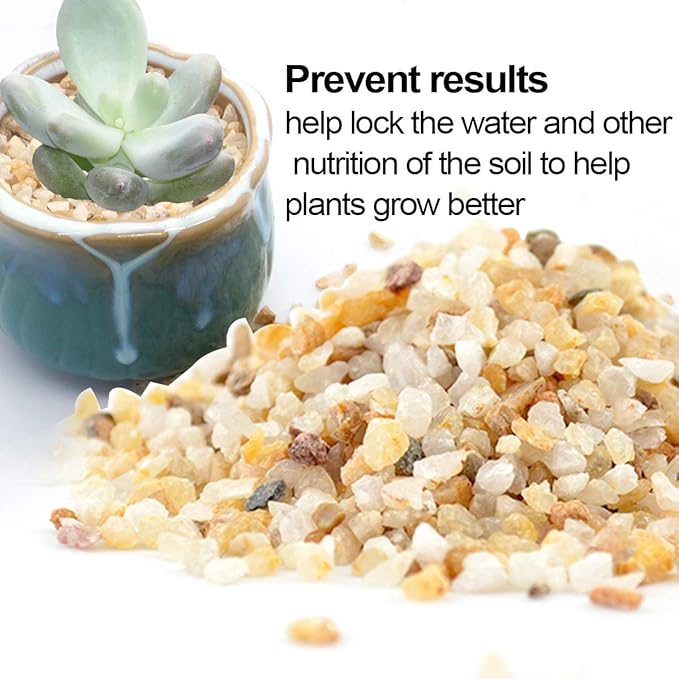 TOYPOPOR 6lb Succulent and Cactus Bonsai Gritty Mix Rocks, Natural Coarse Sand Stone, Potted Plant Decorative Gravel, DIY Projects Pebbles for Vases Fillers, Terrarium, Fairy Gardening, Top Dressing