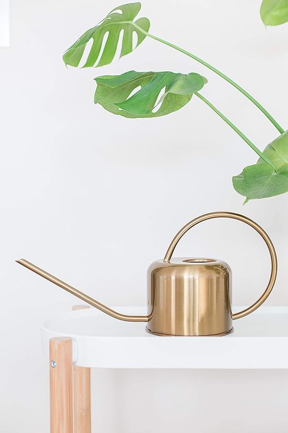 Stainless Steel Watering Can for Houseplants by Houseplant Resource Center | 1L Capacity for Indoor/Outdoor Plants in Brushed Gold